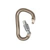 Black Diamond Rocklock Screwgate Carabiner